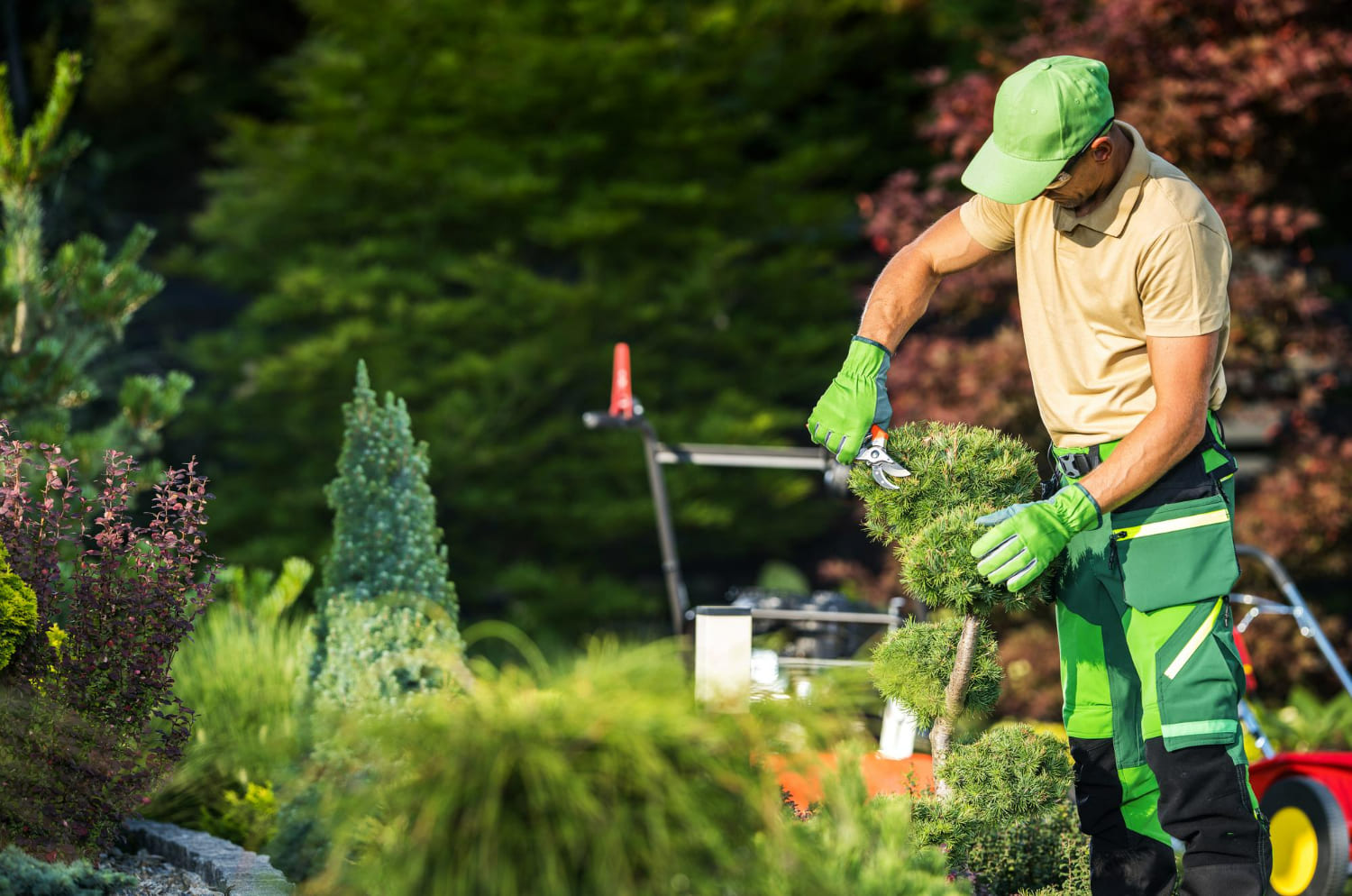 Commercial Landscaping2